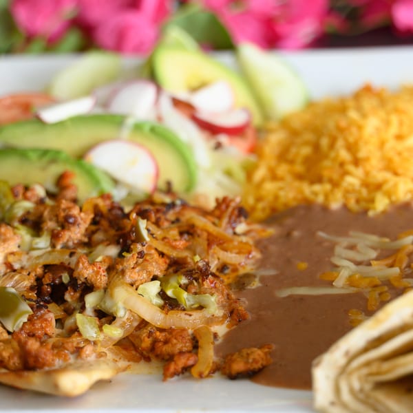 A Mexican dish with ground meat, rice, refried beans, avocado, and tortillas on a white plate.